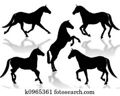 Horses silhouettes Horses silhouettes