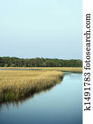 pântano, litoral, paisagem.