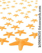Starfish Starfish