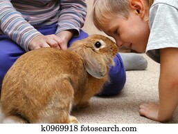 The boy with the rabbit The boy with the rabbit