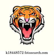Tiger Tiger