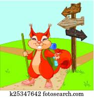 Funny squirrel for a walk Funny squirrel for a walk