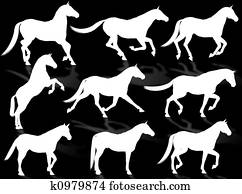 Horses silhouette Horses silhouette