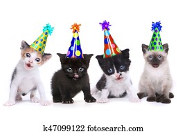 Birthday Song Singing Kittens on White Background Birthday Song Singing Kittens on White Background