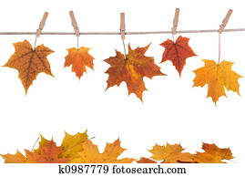 fall leaves hanging on a clothesline