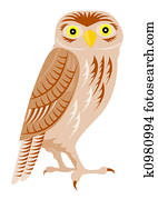 Night Owl Night Owl
