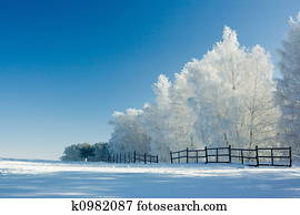 paisagem inverno, e, árvores