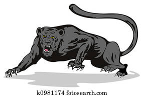 Panther on the prowl Panther on the prowl