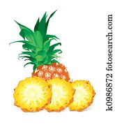 Pineapple (illustration) Pineapple (illustration)