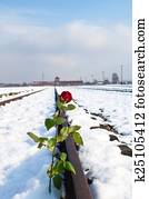 The Auschwitz-Birkenau State Museum