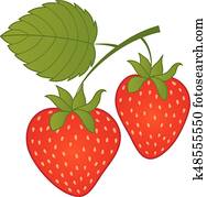 Vector Strawberries. Vector Strawberry. Vector Strawberries. Vector Strawberry.