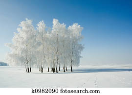 Winter landscape and trees Winter landscape and trees
