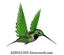 Black hummingbird - 3D render Black hummingbird - 3D render