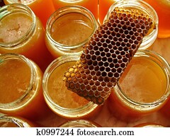 honey honey