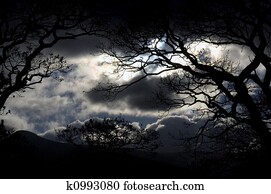 Lake District Night Sky