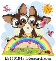 שני, חמוד, גורים, are, לשבת, ב, הקשת