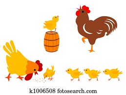 Chicken Family Chicken Family