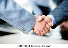 Handshake of businesspeople Handshake of businesspeople