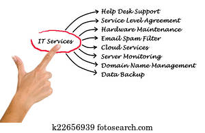 IT Services IT Services
