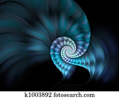 Nautilus shell