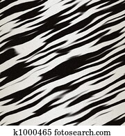 zebra print zebra print