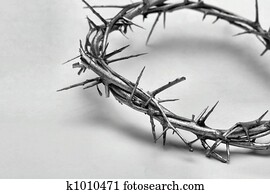 Crown of Thorns Crown of Thorns