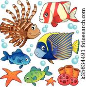 recife coral, peixe, tema, cobrança