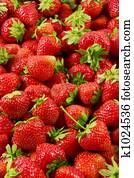 Strawberry Strawberry