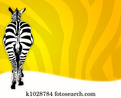 Zebra background Zebra background