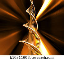 DNA strands DNA strands