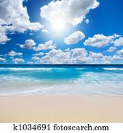 Gorgeous Beach Landscape