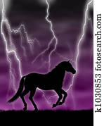 Horse in the storm Horse in the storm