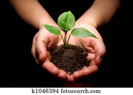 plant is in hands
