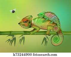 two camouflaged chameleons two camouflaged chameleons