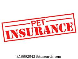 חיה בית, ביטוח