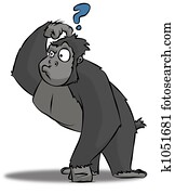 Confused Gorilla Confused Gorilla