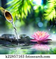 jardim zen, com, pretas, pedras