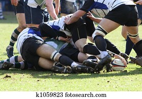 rugby rugby