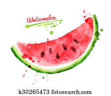 Watercolor watermelon. Watercolor watermelon.