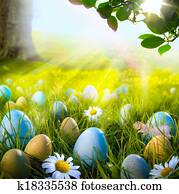 arte, decorado, ovos páscoa, em, a, capim, com, margaridas