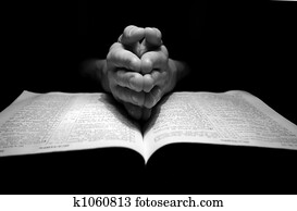 bible bible