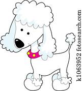 Poodle Poodle