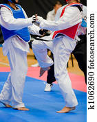 Taekwondo Taekwondo