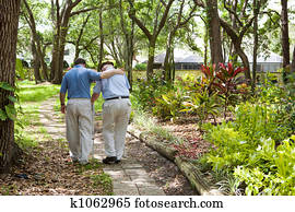 Walking with Dad Walking with Dad