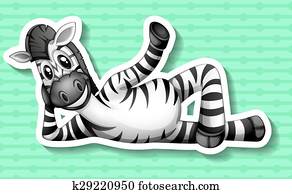 zebra zebra