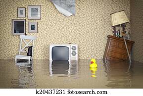 Flooded interior Flooded interior