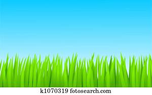 grass grass