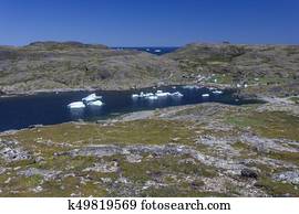 icebergs on Fogo Island bay