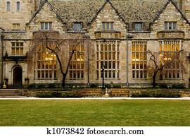 university university