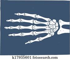 העבר רנטגן, picture.